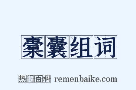 橐囊组词是什么意思的图片
